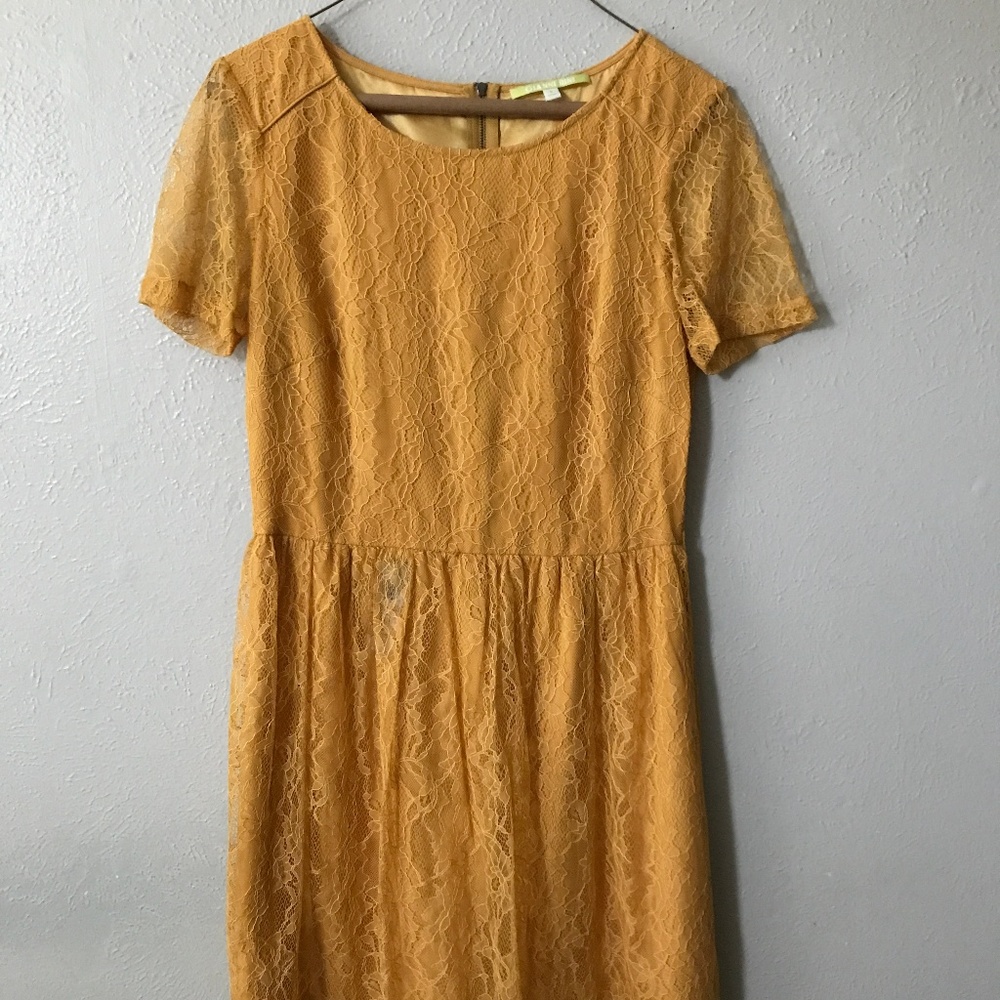 Gianni Bini Dress